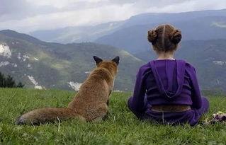 夏天的狐狸在线观看,在线重温经典动画  第2张